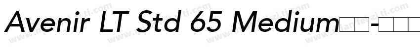 Avenir LT Std 65 Medium粗体字体转换